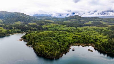 /international/ca/dl1833-cracroft-island-west-cracroft-island-bc-110099763116/?lang=zh-cn