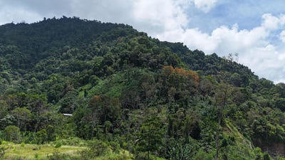 /international/cr/elegant-3-bedroom-home-with-ocean-mountain-views-in-the-heart-of-tinamaste-tinamaste-san-jose-110101178073/?lang=zh-cn