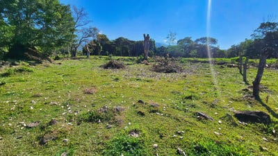 /international/cr/lot-3500m²-playa-verde-santa-elena-alajuela-province-110106239231/