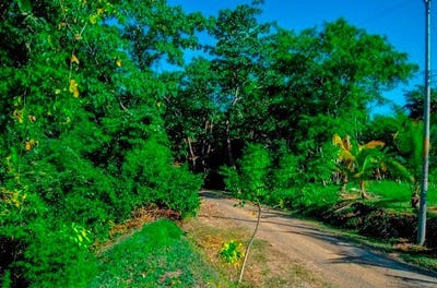 /international/cr/la-reserva-lot-15-playa-camaronal-110097065808/?lang=zh-cn