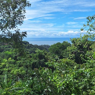 /international/cr/exceptional-ocean-mountain-view-property-in-pinuela-arriba-ojochal-ojochal-guanacaste-province-110101177933/?lang=zh-cn