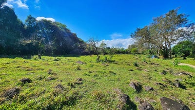 /international/cr/playa-verde-permaculture-lot-santa-elena-alajuela-province-110105750066/