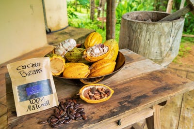 /international/cr/exclusive-cacao-farm-luxury-retreat-parrita-puntarenas-110105767555/