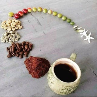 /international/cr/finca-hamacas-san-vito-puntarenas-110108107763/