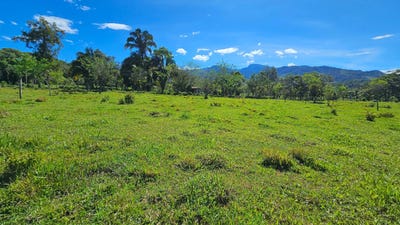 /international/cr/permaculture-lot-2-santa-elena-alajuela-province-110101474126/?lang=en