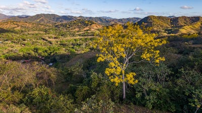 /international/cr/lote-vista-verde-belen-guanacaste-province-110105004602/