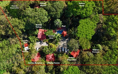 /international/cr/tropical-jungle-oasis-with-8-cabinas-pool-in-prime-uvita-location-uvita-heredia-province-110101170990/?lang=zh-tw