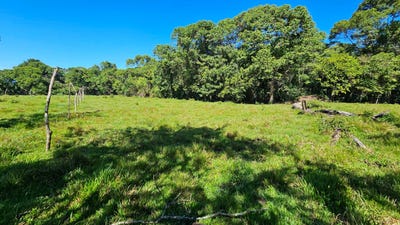 /international/cr/permaculture-lot-1-santa-elena-alajuela-province-110101421694/