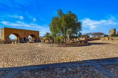/international/mx/premium-vineyard-estate-lot-vinedo-san-miguel-san-miguel-de-allende-guanajuato-110105767601/