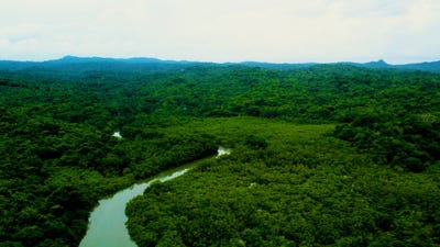 /international/pa/pearl-island-panama-city-panama-city-110105063993/