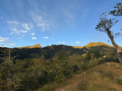 /international/pa/boquete-boquete-bajo-boquete-110099873032/?lang=id