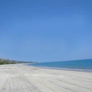/international/pa/bijao-cocle-cocle-110094303738/