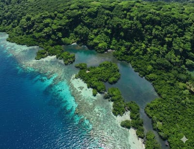 /international/pa/bocas-del-toro-bocas-del-toro-bocas-del-toro-province-110107796093/