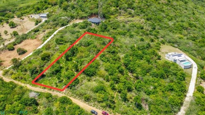 /international/pr/250-250-culebra-culebra-culebra-110107610467/