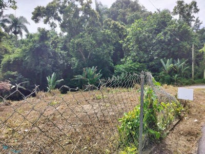 /international/pr/km-9-5-int-carr-111-caguana-utuado-utuado-110095455223/