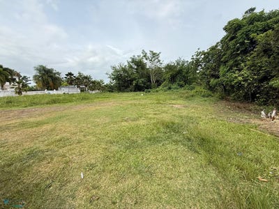 /international/pr/carr-312-bo-monte-grande-monte-grande-cabo-rojo-cabo-rojo-110101101036/?lang=en