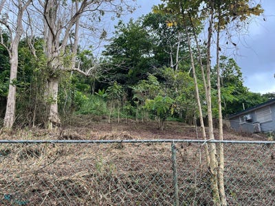 /international/pr/sr-int-mogote-toita-cayey-110101098367/?lang=en