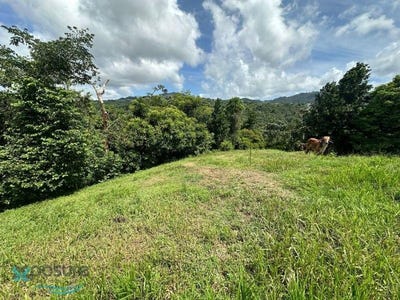 /international/pr/835-carr-pr-mamey-guaynabo-guaynabo-110094643121/?lang=es