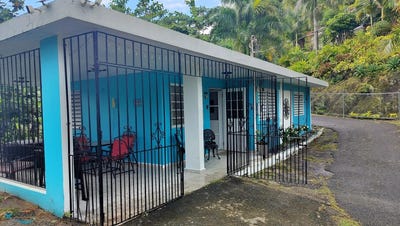 /international/pr/km-7-2-int-carretera-615-pesas-ciales-ciales-110106030003/