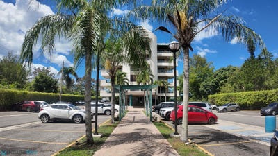 /international/pr/s-n-danza-del-sol-cabo-rojo-cabo-rojo-cabo-rojo-110106377399/