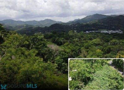 /international/pr/174-carretera-bayamon-bayamon-bayamon-110108218830/