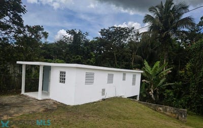 /international/pr/114-bo-angeles-utuado-utuado-utuado-110107573074/