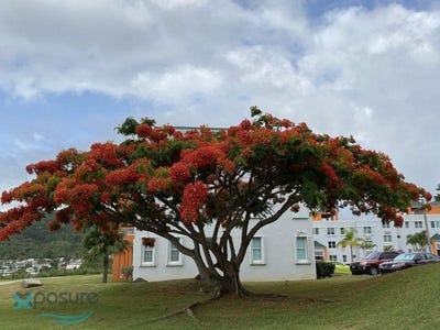 /international/pr/0-blvd-la-loma-fajardo-fajardo-fajardo-110096071963/?lang=pt