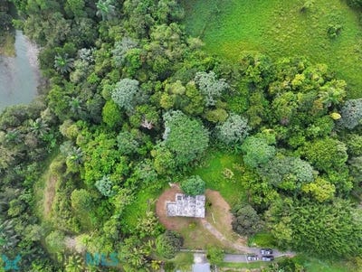 /international/pr/1-carr-119-bo-aibonito-beltran-aibonito-san-sebastian-san-sebastian-110106527477/