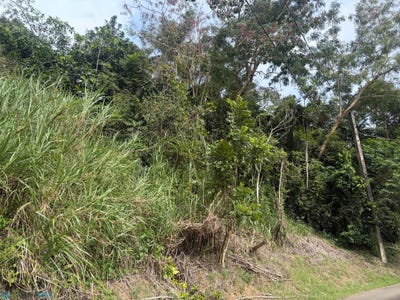 /international/pr/167-carr-bayamon-bayamon-bayamon-110107481840/