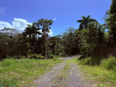 /international/pr/carr-992-calle-1-luquillo-luquillo-luquillo-110107074562/