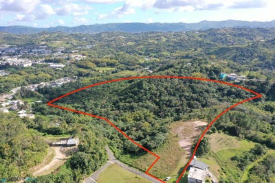/international/pr/carr-173-calle-zafiro-ceiba-cidra-cidra-110106615206/