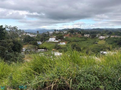 /international/pr/km-7-6-carr-152-barranquitas-barranquitas-barranquitas-110107379062/
