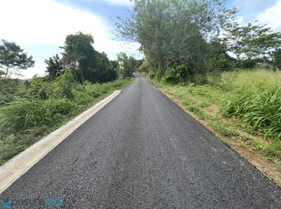 /international/pr/km-3-pr-164-palmarejo-corozal-corozal-110106815283/