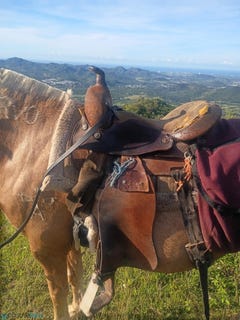 /international/pr/km-4-8-556-carretera-estatal-pasto-coamo-coamo-110108478611/
