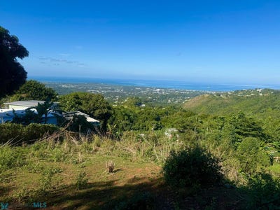 /international/pr/carr-3349-carr-3349-km-5-1-barrio-malezas-y-rosario-malezas-mayaguez-mayaguez-110106316031/