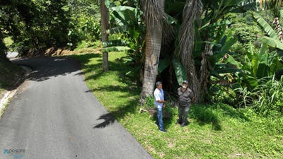 /international/pr/0-bo-la-torre-la-torre-lares-lares-110093314965/?lang=zh-tw