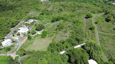 /international/pr/carr-368-km-7-6-susua-sabana-grande-sabana-grande-110099600036/?lang=id