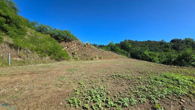 /international/pr/pr-414-rio-grande-rincon-rincon-rincon-110094926592/