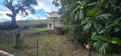 /international/pr/344-sector-los-ayala-hormigueros-hormigueros-hormigueros-110106947403/