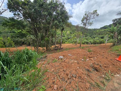 /international/pr/0-estancia-la-sierra-ii-aguas-buenas-aguas-buenas-aguas-buenas-110108581638/