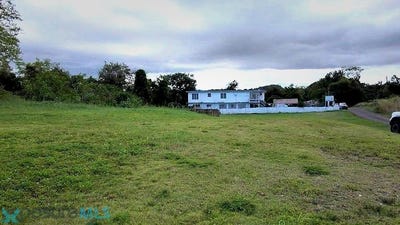 /international/pr/carr-2-bo-arenales-bajos-solar-a-isabela-pr-00662-arenales-bajos-isabela-isabela-110106724510/