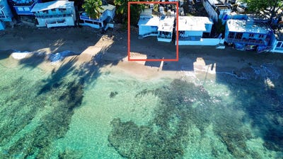 /international/pr/7-tamarindo-aguadilla-aguadilla-aguadilla-pueblo-110105857953/