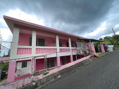 /international/pr/carr-354-camino-los-ortiz-rio-canas-arriba-mayaguez-mayaguez-110101516097/?lang=de