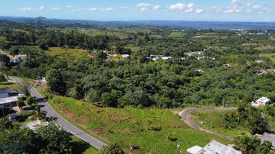 /international/pr/x-carr-119-km-38-6-bo-calabazas-san-sebastian-puerto-rico-00685-calabazas-san-sebastian-san-sebastian-110104274650/