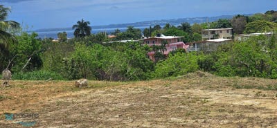 /international/pr/km-4-4-bo-punta-rincon-puerto-rico-rincon-rincon-rincon-110099234304/