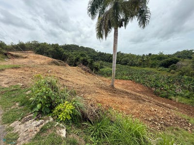 /international/pr/0-solar-852m-bo-planas-isabela-plana-isabela-110101113993/?lang=zh-cn