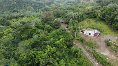 /international/pr/128-bo-mirasol-lares-mirasol-lares-lares-110106098449/