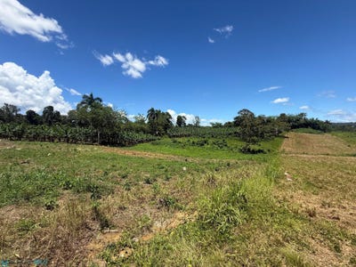 /international/pr/1-pr-446-km-4-1-bo-robles-san-sebastian-finca-3-5-cds-3-4-acres-clasificacion-robles-san-sebastian-san-sebastian-110107798980/