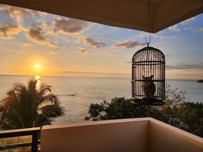/international/pr/102-joyuda-102-cabo-rojo-cabo-rojo-cabo-rojo-110105955269/
