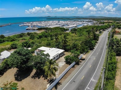 /international/pr/lot-2-demajagua-demajagua-fajardo-fajardo-110106931111/